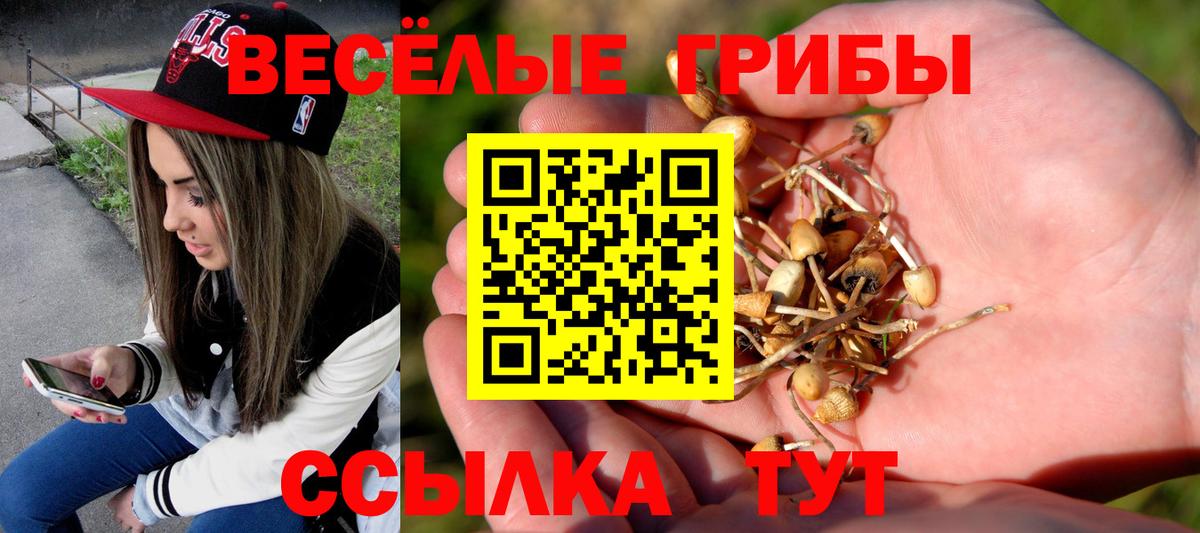 A PVP СОЛЬ   ГАШИШ  МЕТ  Выборг  МЕФ   Cocaine  Вход с VPN  ГАШ 
