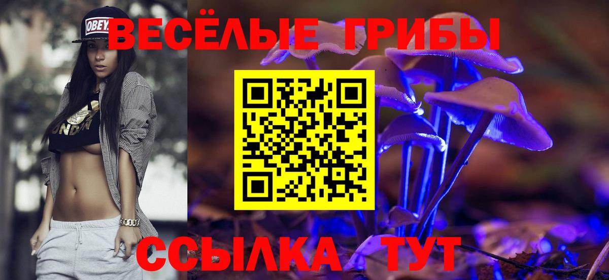 Псилоцибиновые грибы Cubensis Выборг